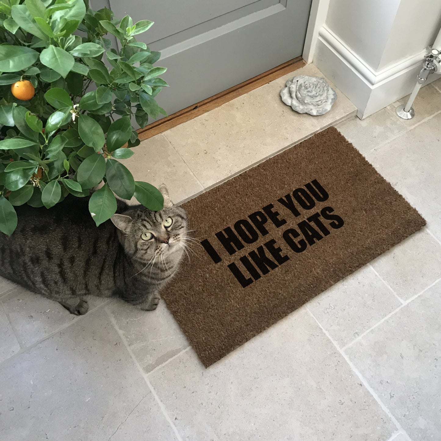‘I Hope You Like Cats’ Coir Doormat