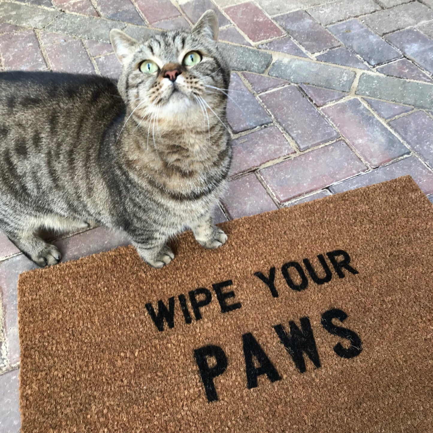 ‘Wipe Your PAWS’ Doormat