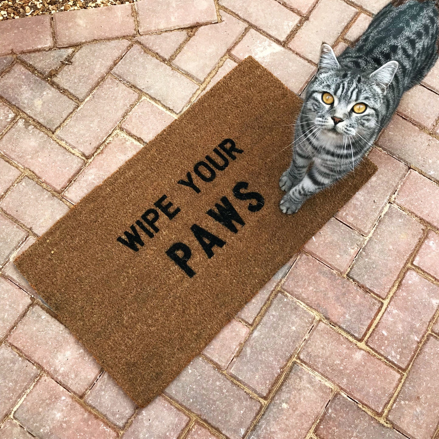 ‘Wipe Your PAWS’ Doormat