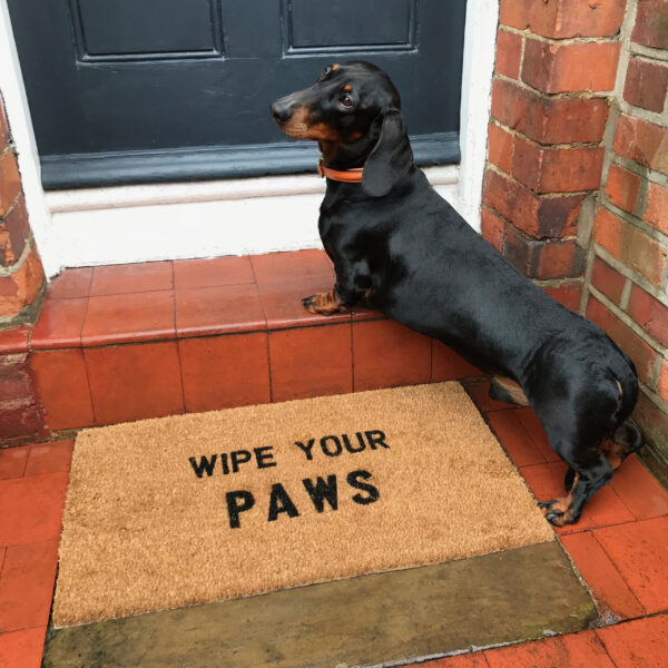 wipe your paws doormat